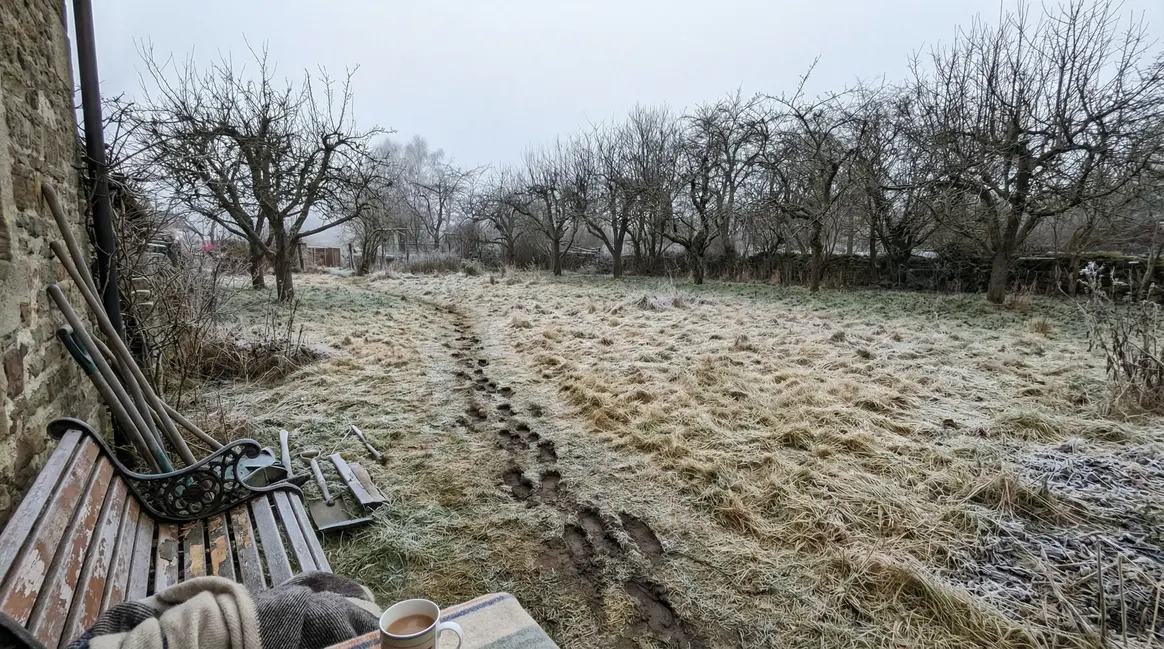 Pelouse gelée marquée par des pas en hiver