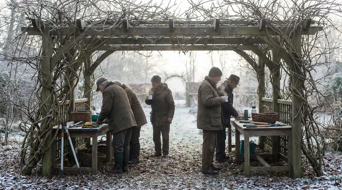 Personnes agees taillant glycine sous pergola en hiver