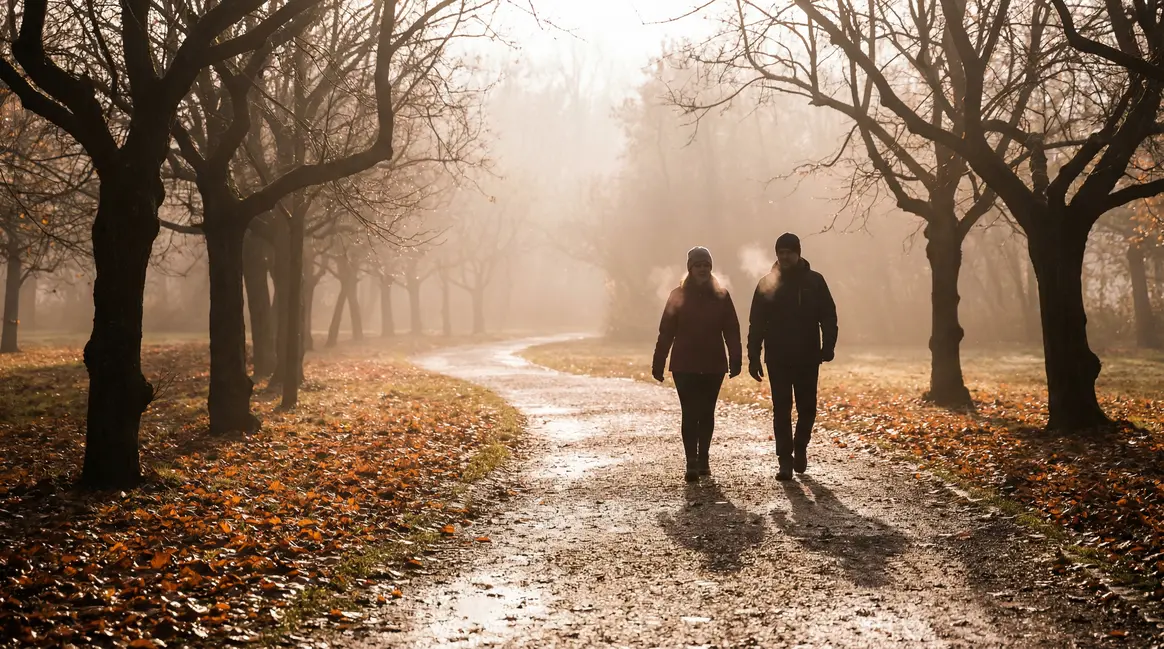 Promeneurs marche matin parc gravier brume