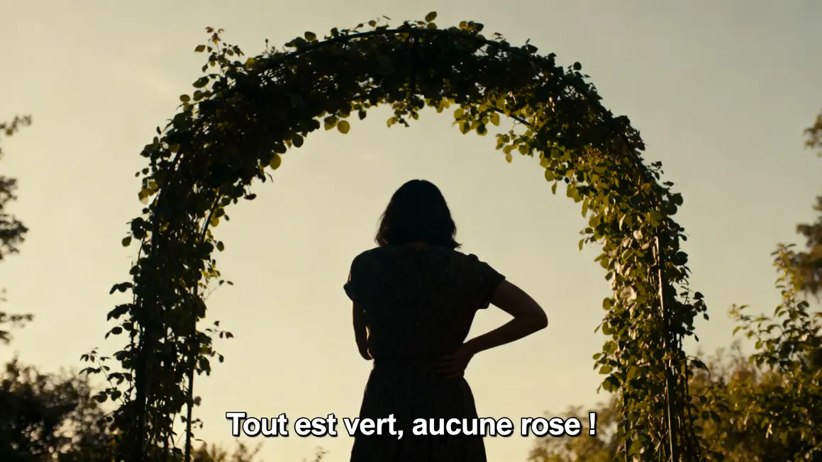 arche verdoyante sans fleurs réaction