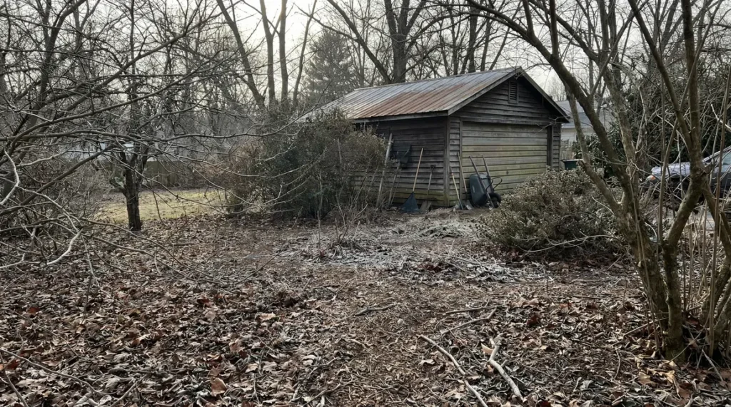 jardin hiver arbres nus garage outils feuilles mortes
