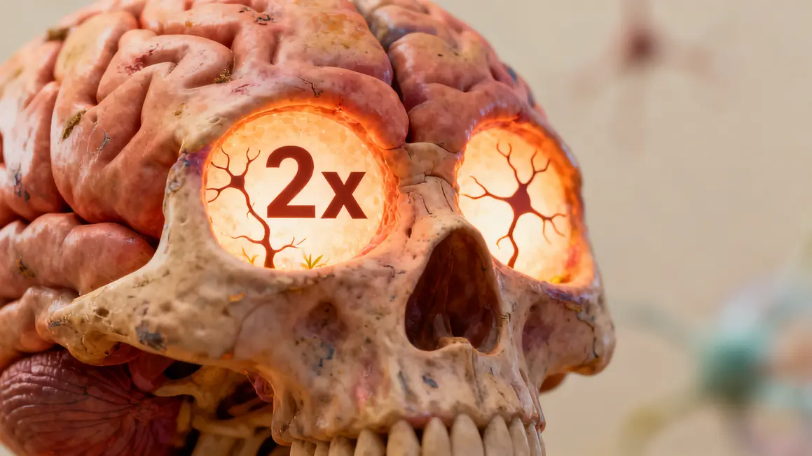 cerveau zones brillante 2x neurones croissance